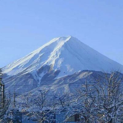 精忠报国岳飞传内购破解版下载